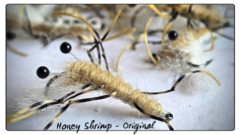 Honey Shrimp - Original