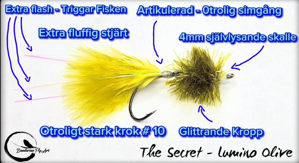 The Secret - Lumino Olive